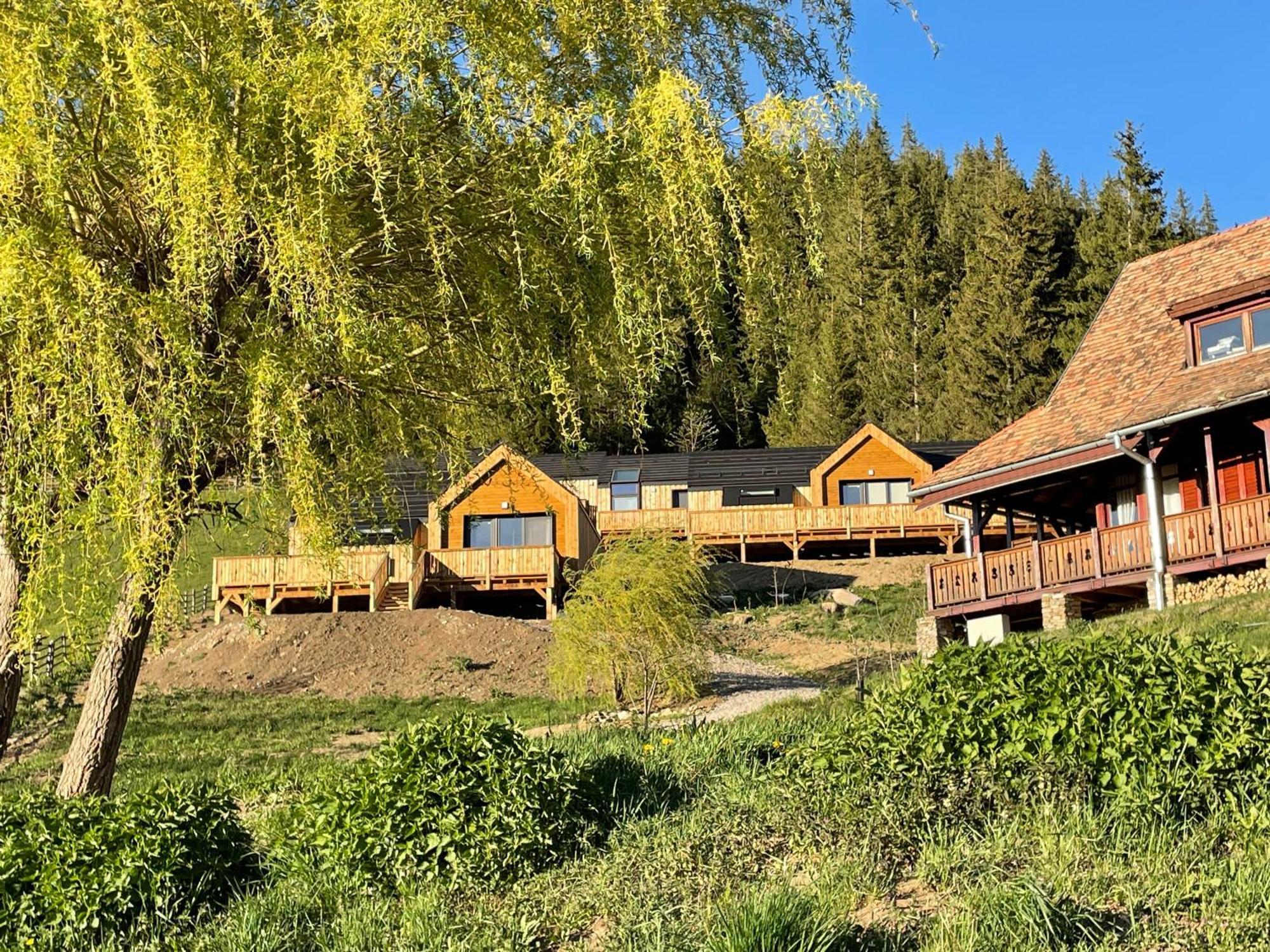 Kaliba Cabins Valea Boros 외부 사진